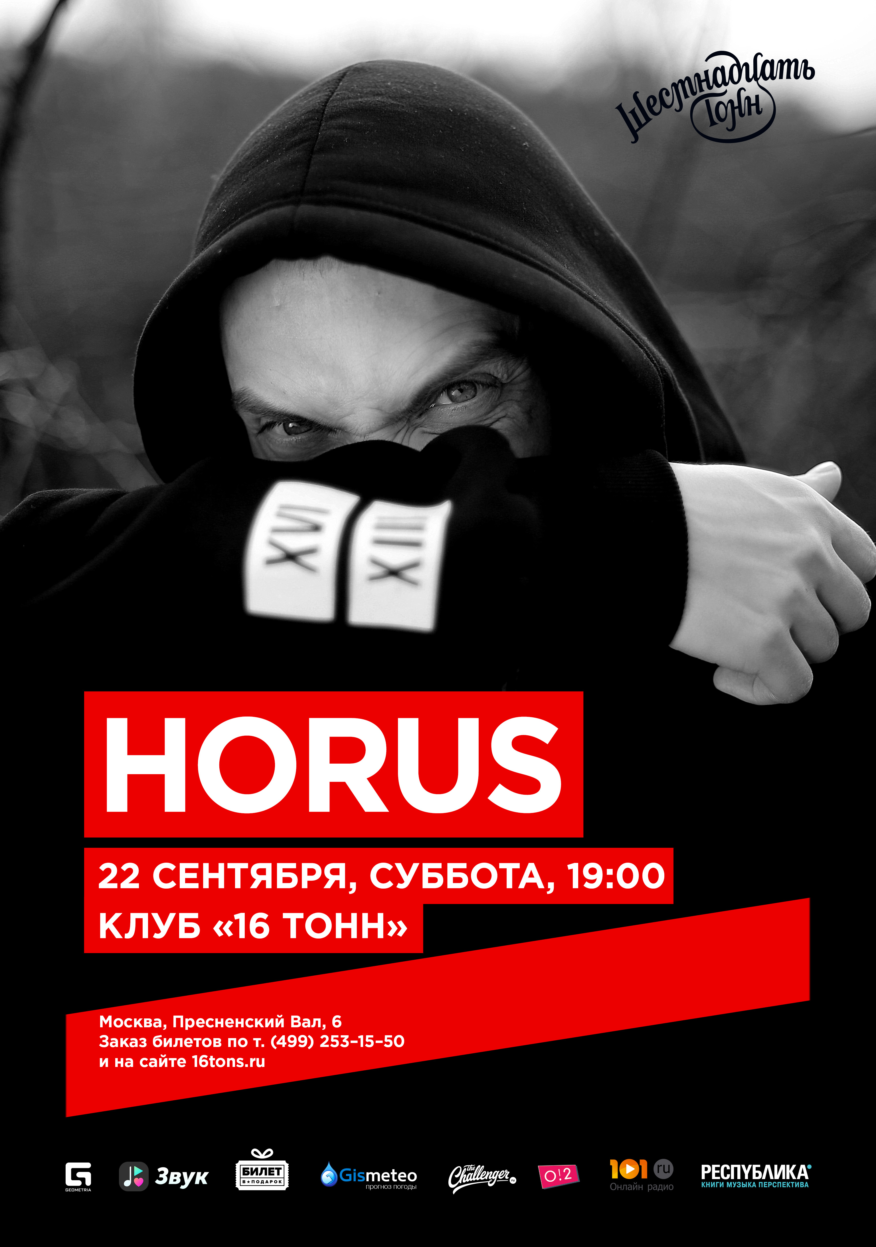 Проект увечье horus